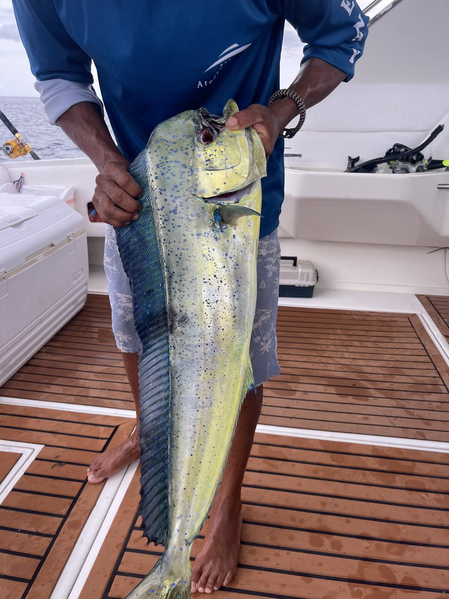 Kelly Talbot tweet media