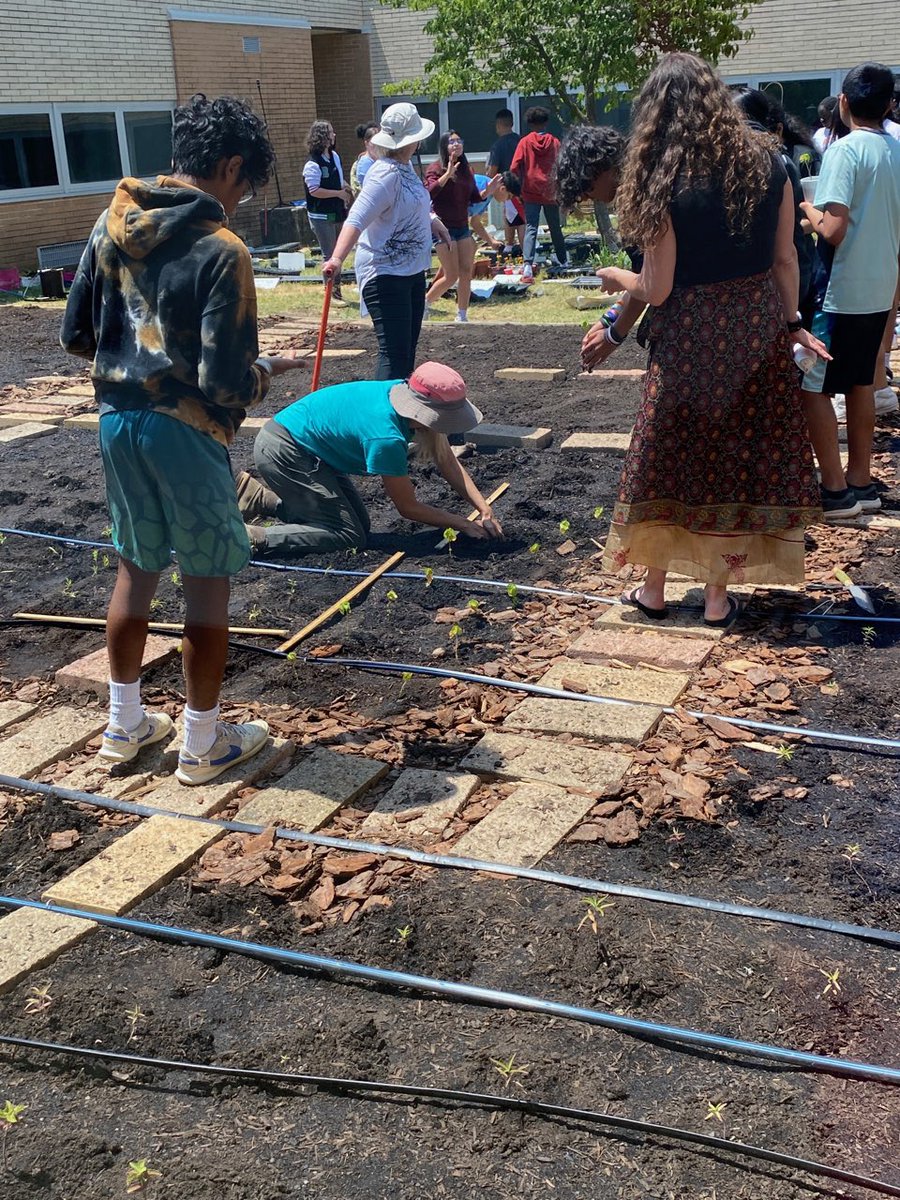 MrsKatieMinto's tweet photo. So impressed with the native plant garden developed by @MHKProjectGreen. All of the MHK students are planting a plant this week and the garden will honor AJ Collins, an 8th grader who we lost earlier this year. https://t.co/HjKdCupDEw