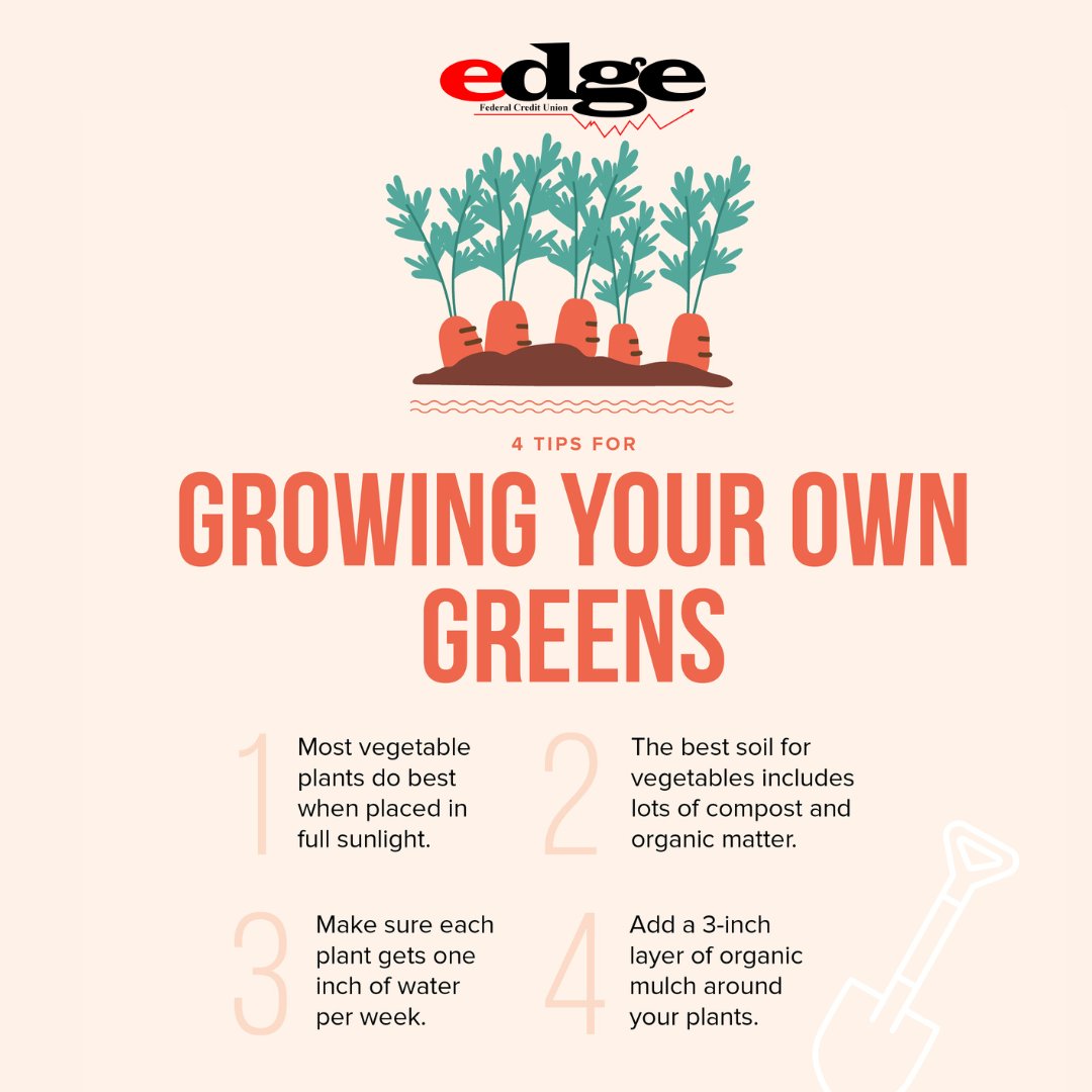 EdgeFCU's tweet image. Here at Edge, we like to make it "grain." Save some money and feed your soul (and stomach) with a few gardening tips!