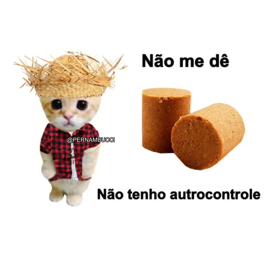 Eu comi 54 paçocas em umas duas semanas 🫠