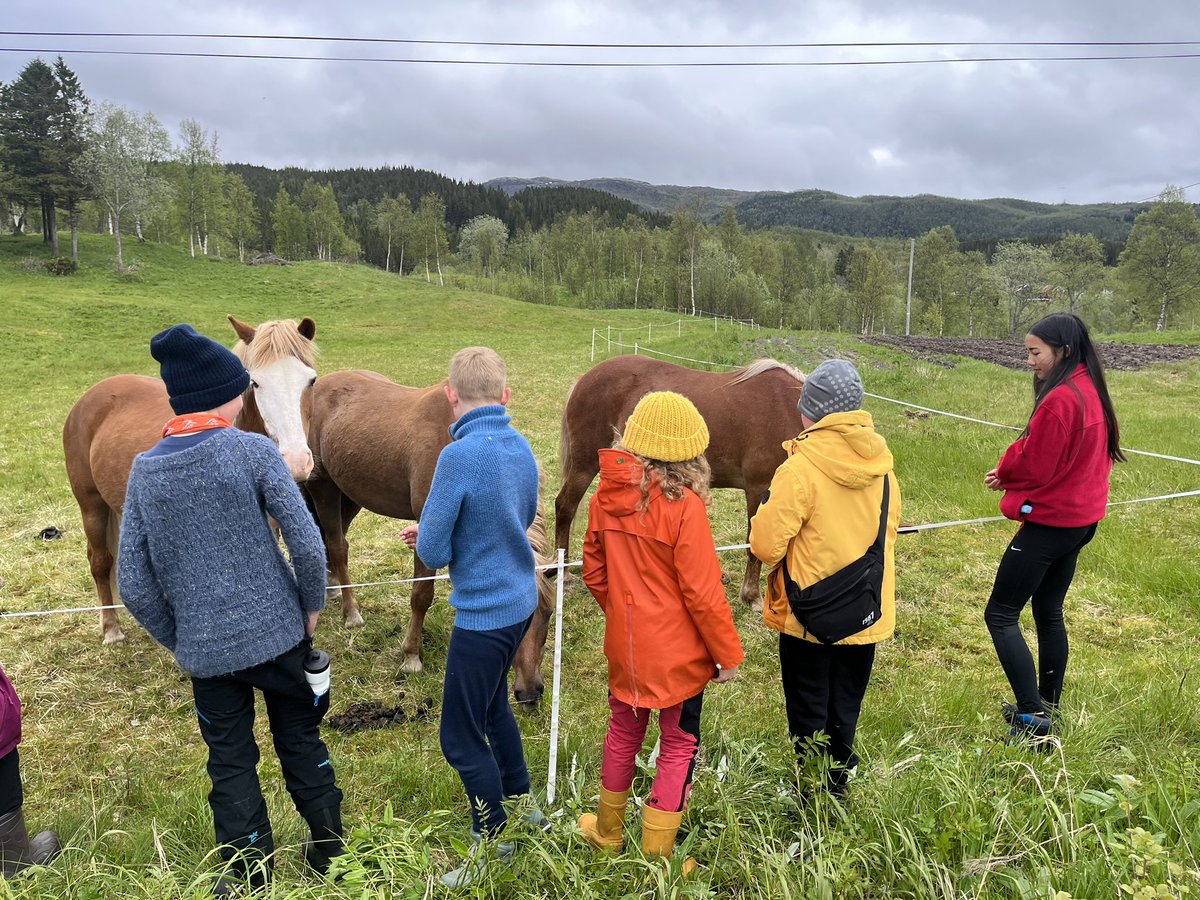 Scone_Steigen's tweet photo. Pupils from Steigen and Scone had an interesting day finding out about the ways of life in a Norwegian village. We saw a community sawmill in action, linked to each home in the village also having two acres of woodland. #erasmusplus @RDMScone @perthacademy https://t.co/UD1tQWJlFi
