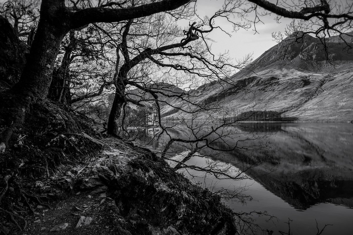 Tree Lined Shore.

Through the trees lakeside at Buttermere

#cumbria #fujifilm #photography #lakeside #blackandwhitephotography #landscapephotography #trees #silhouette #reflection #shoreline #cumbria #lakedistrict #water #abstract #sunlight #monochrome