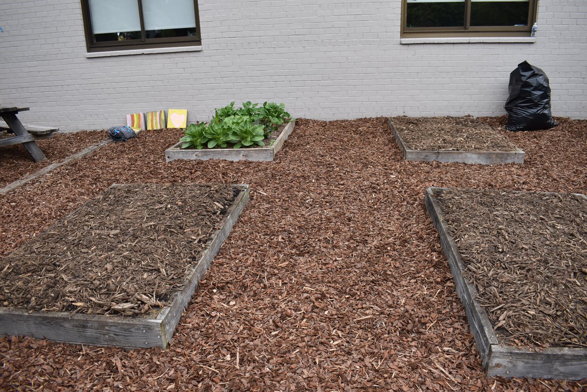 Last month we worked with <a href="/LMPolicy/">L&M Policy Research</a> and some individual volunteers to spruce up the garden at <a href="/FriendshipPCS/">Friendship PCS</a>. Check out the transformation!
