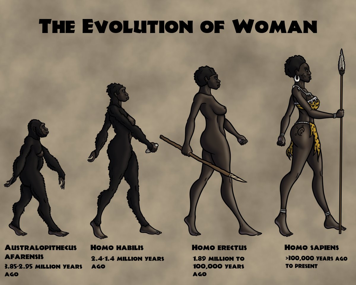 Gave my old 'Evolution of Woman' artwork a few minor retouches. Still one of my favorite artworks!

#humanevolution #paleoanthropology #paleoart #african #blackwomen #art #ArtistOnTwitter