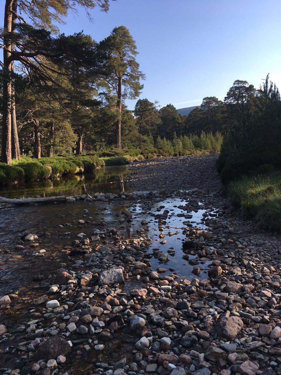 MarionMcAliste6's tweet photo. Congratulations to our Silver Duke of Edinburgh pupils who have completed their challenging practice expedition in the Cairngorms. Stunning weather and scenery. Well done to you all. 😀🦟🌞⛺️🏔 @MissJHighton @morv3n @BishopbriggsAC @GeoBishopbriggs @DofEBishAcademy https://t.co/y2Z2ei8tlI