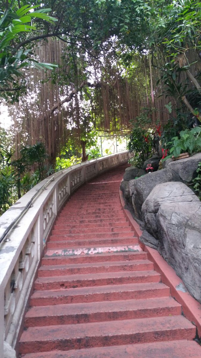 bluebird00010's tweet photo. Wat Saket
The temple of the Golden Mount is one of the main tourist attractions of #Bangkok
The base of the temple is covered with lush greenery, exotic trees and plants.
My video here: https://t.co/3ukdtTx1xi
#thailand #goldenmount #goldenmounttemple #watsaket #watsakettemple https://t.co/J6YpIP2Vj4