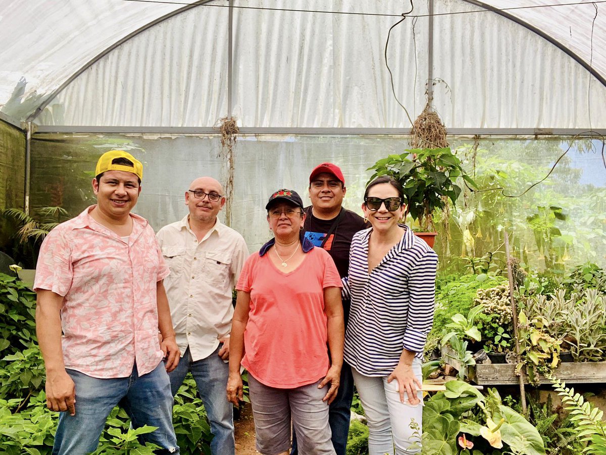 agropecuarioRTV's tweet photo. Visitamos el Vivero "Vicky" en La Estanzuela, Ver., para conocer acerca del Cultivo de Flor de Nochebuena, la cual se comienza a sembrar desde el mes de junio.

Próximamente lo verán en nuestro programa...

#VeracruzAgropecuario #ProduceOrgullo https://t.co/QH8GvDg5Hh