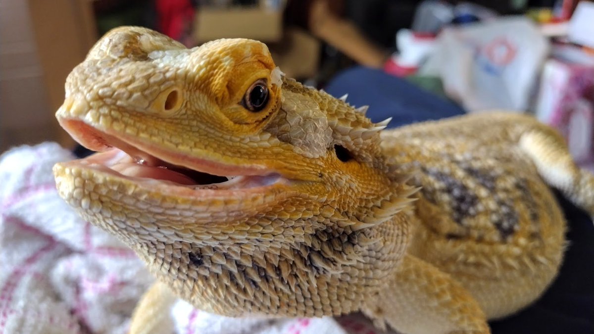 MissyTheDragon's tweet photo. I had a LOT to drink in the bath today.  I was nearly sick. https://t.co/fGlT3cvX75