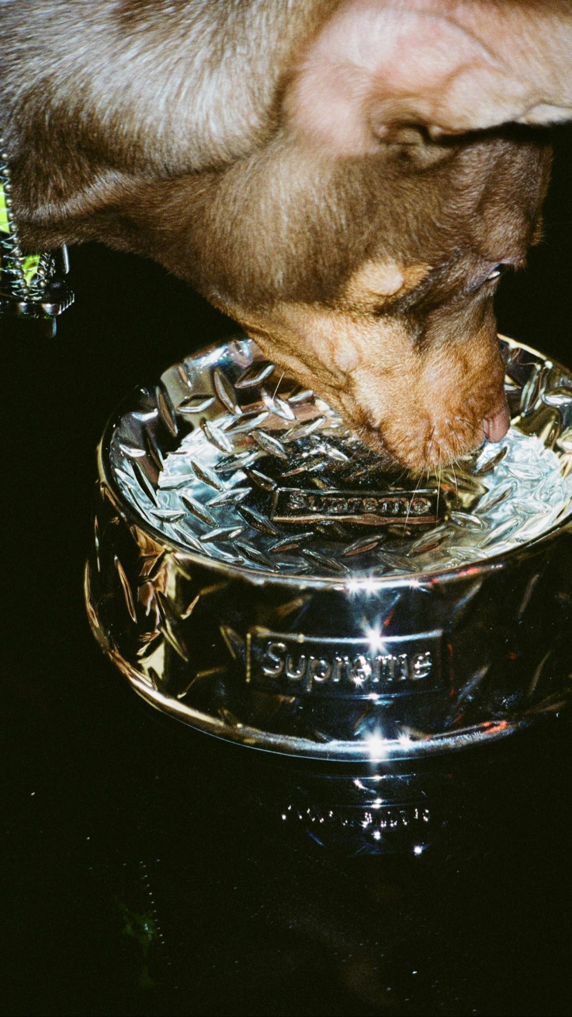 Supreme Drops on X: 