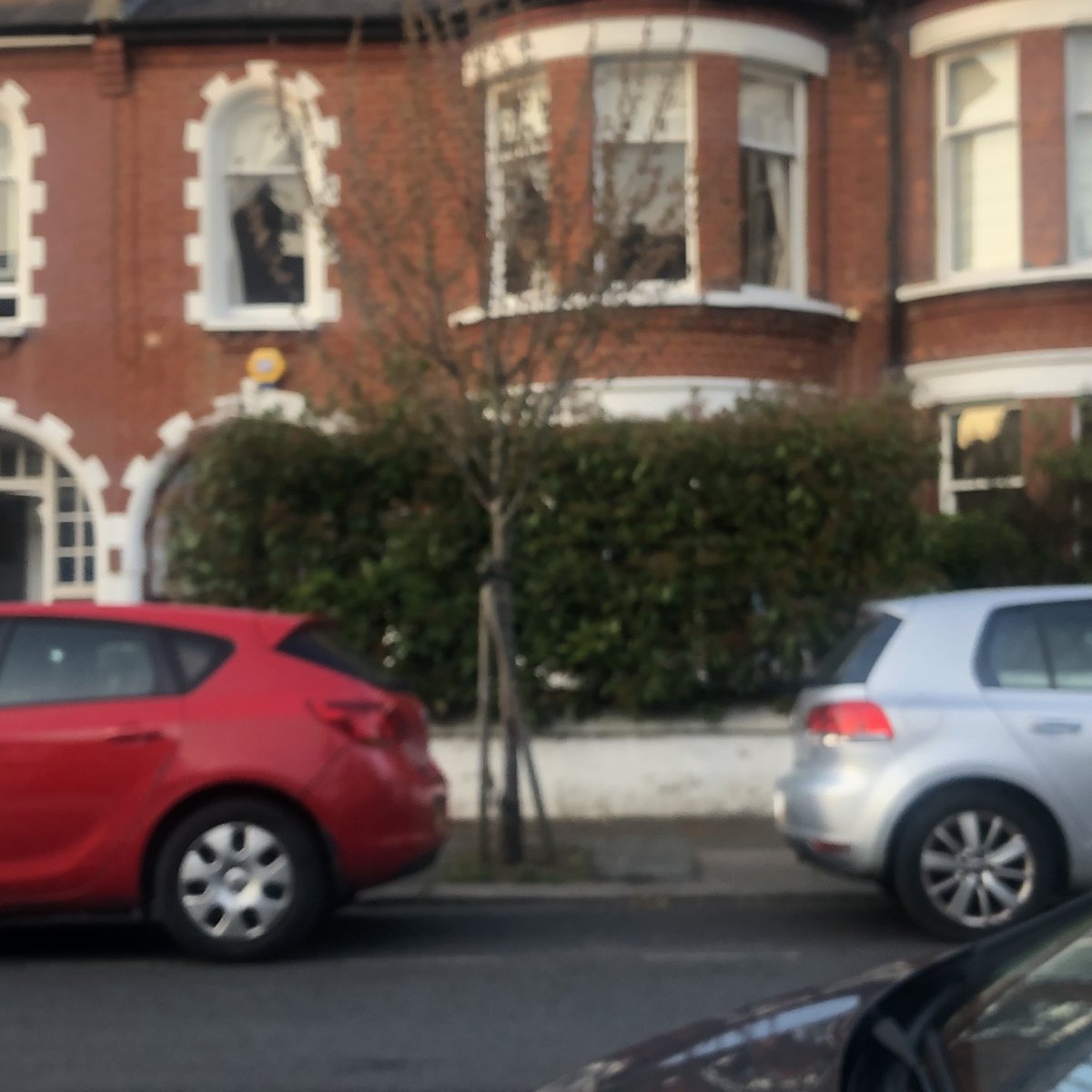 GreenCChampion's tweet photo. My street have just been organising on our WhatsApp to water and hopefully save this tree. It was doing ok but leaves have died. Will let you know how it goes .. #saveTerry
@lambeth_council @BeautifyBalham @HeeledGardener @balhamnewsie https://t.co/qXoUE2q8qq