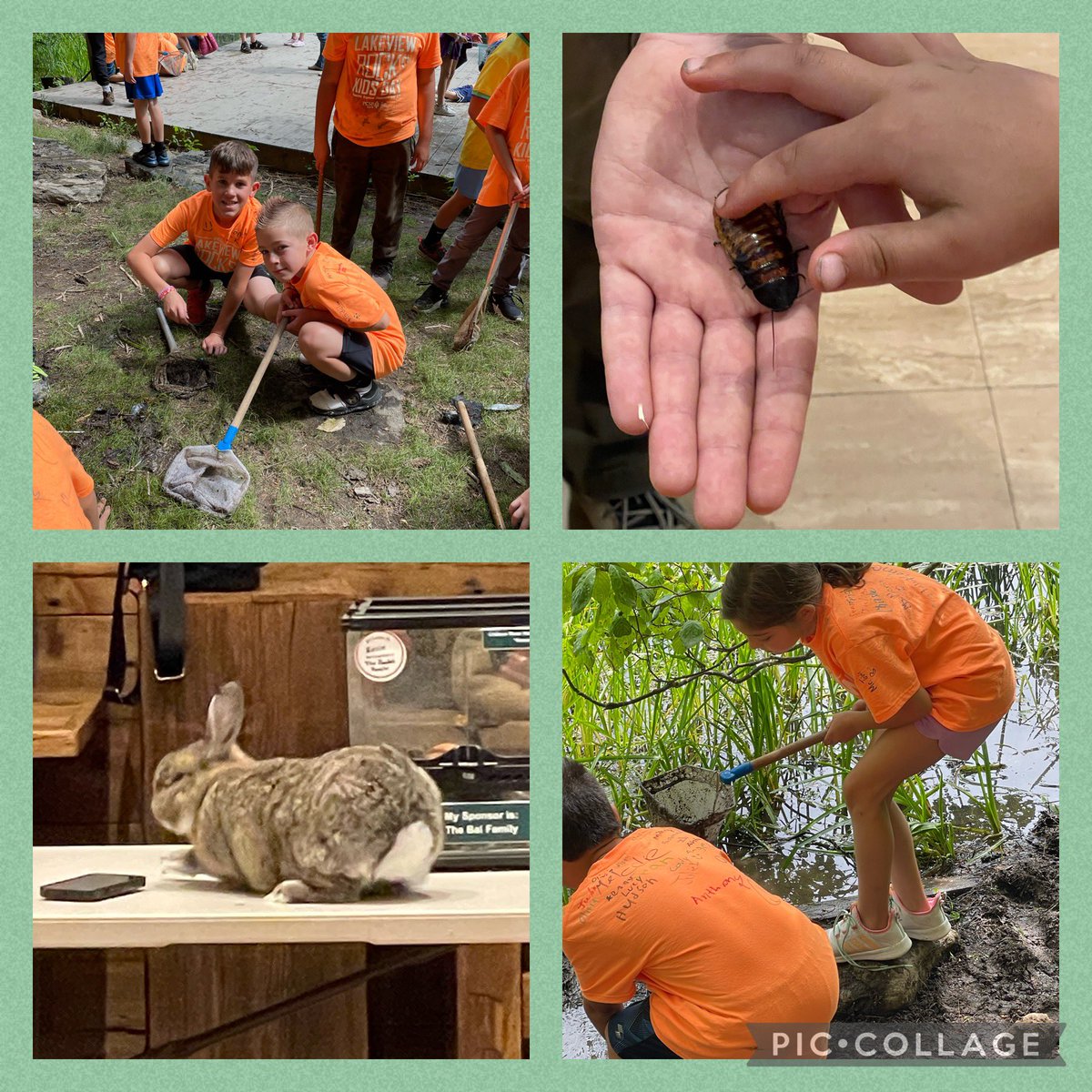 Maureen Tighe tweet media