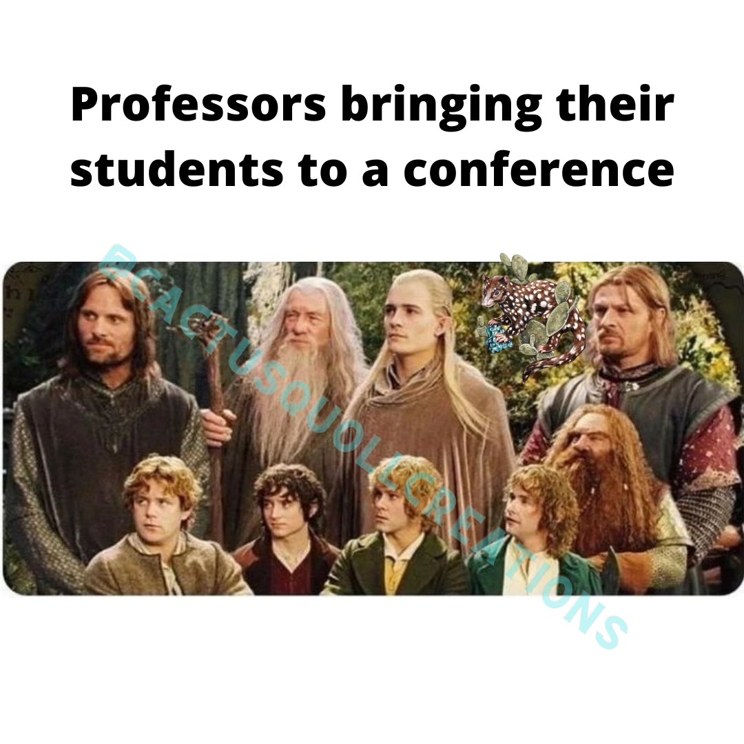 Gael Sanchez (she/her) (@cactusquoll) on Twitter photo 