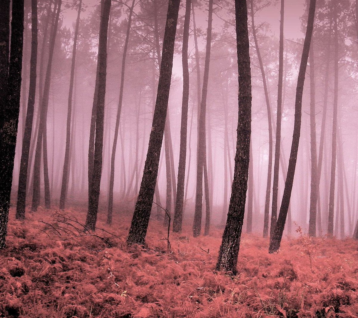 Beginning in moments 
of their stillness 
and silence..