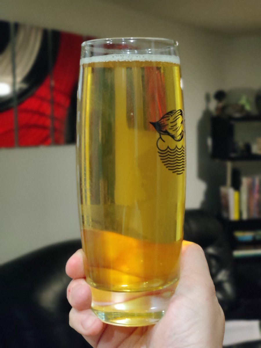 Really proud of this Antipodean Cold IPA I've done (exclusively NZ and Aus hops... Avoiding any Galaxy or Nelson though), just a shame about the terrible head retention... But pretty sure I know the problem so will evolve it as us brewers do!