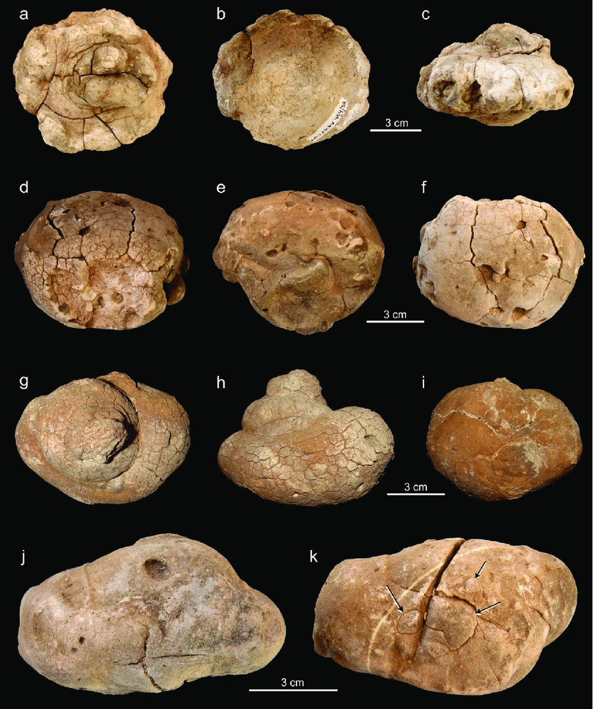 Get a load of the Wednesday #Boozeclue!