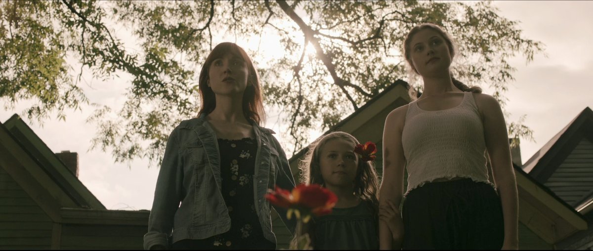 "Pollen" film is out now anywhere on VOD!! 😁 

Directed by DW Medoff, distribution by Gravitas Ventures