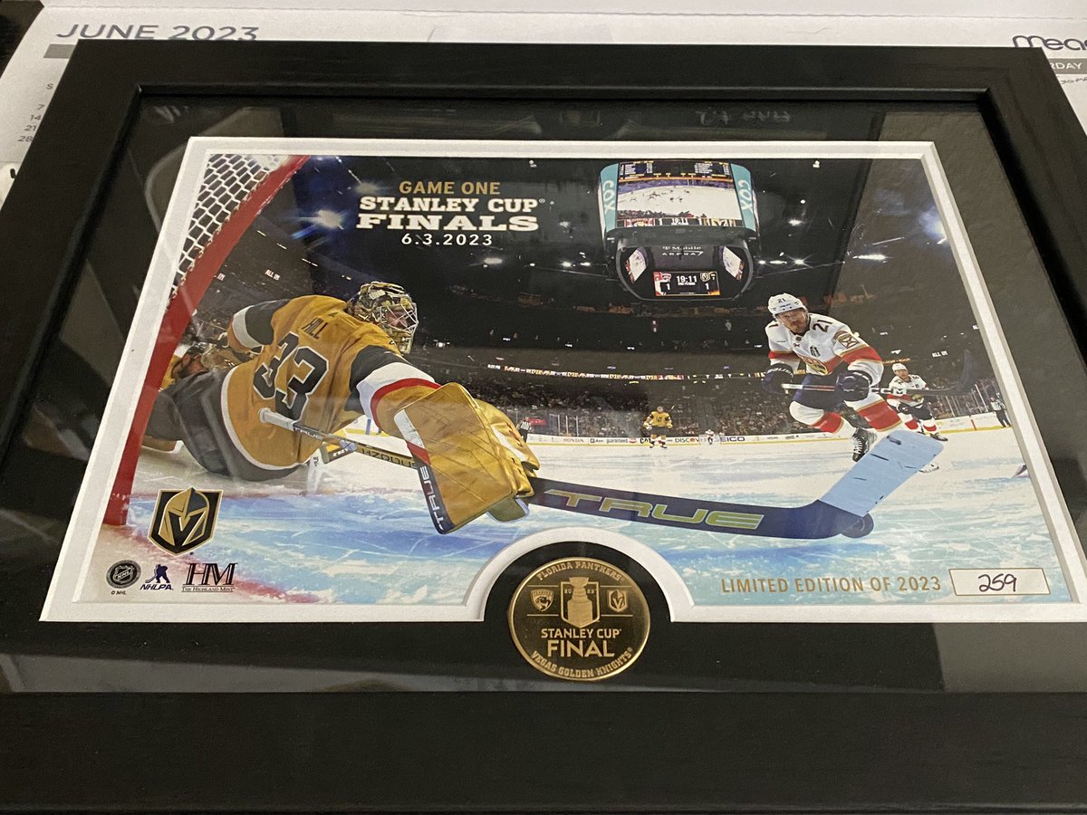 TikiSuitor's tweet image. Was hoping for a lower number but it’s cool.@GoldenKnights #TheSave