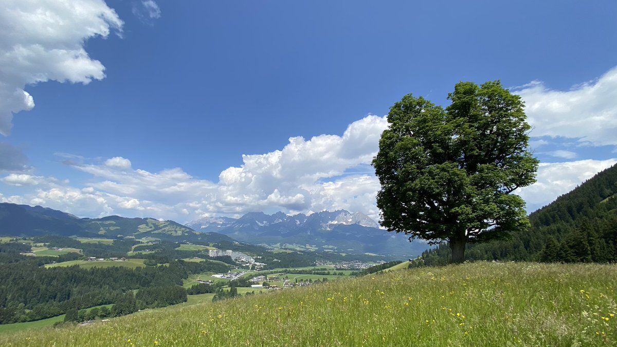 PongratzS's tweet photo. 06/2023 perfect e-bike tour ☀️🏔️🚲 #wilderkaiser #kitzbuehl #stjohann #ellmau #biking #kitzbuehlerhorn https://t.co/kvNBuFcGsW