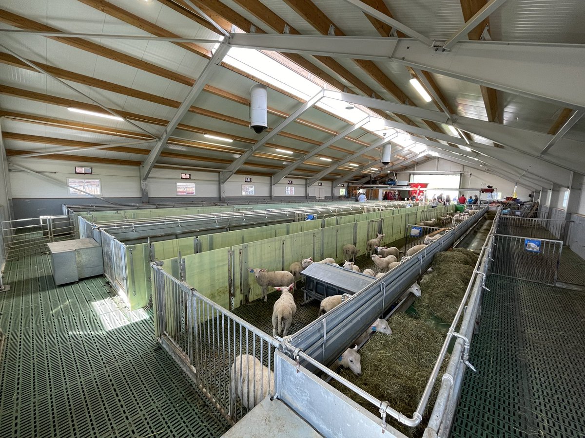 Ann McLaren tweet media