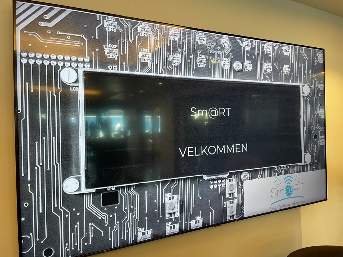 Ann McLaren tweet media