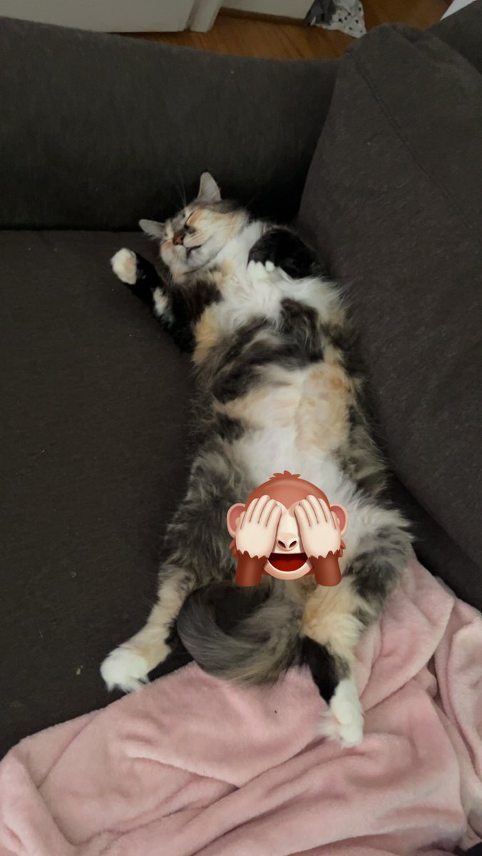 boogiePANDA69's tweet photo. @DeadCaitBounce Censor provided for her modesty https://t.co/WeXTo83iuS