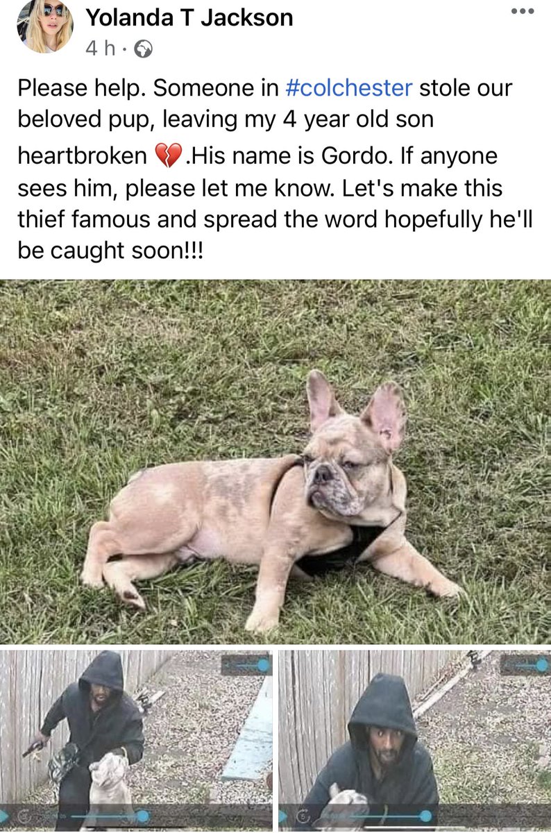 ColchesterViews 🗣️ tweet media