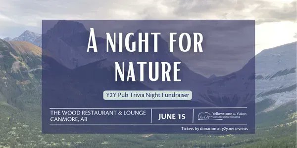 Y2Y_Initiative's tweet photo. We can't wait to see you at our Y2Y Trivia Night Fundraiser! Join us in Canmore TOMORROW for an evening of nature conservation trivia games, good company, food and drinks — all for a good cause.

Tickets by donation to Y2Y. Reserve your seat: https://t.co/raypf228qs https://t.co/O6ATtN6hlr