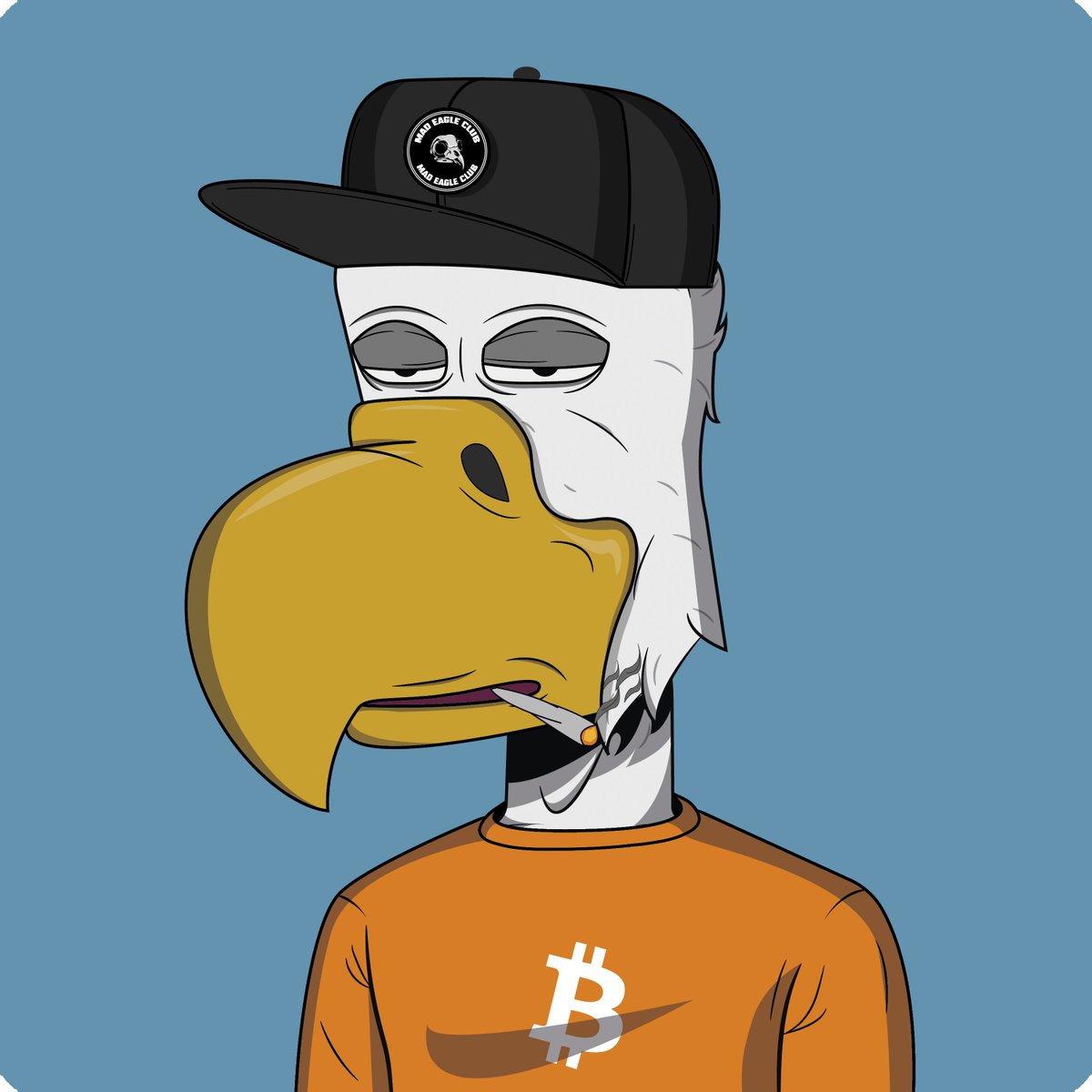 MadEagleClub's tweet photo. You are Team #BTC or #ETH 

#NFTs #NFTsForSale #MadEagleClub https://t.co/ywWwC6bXfH