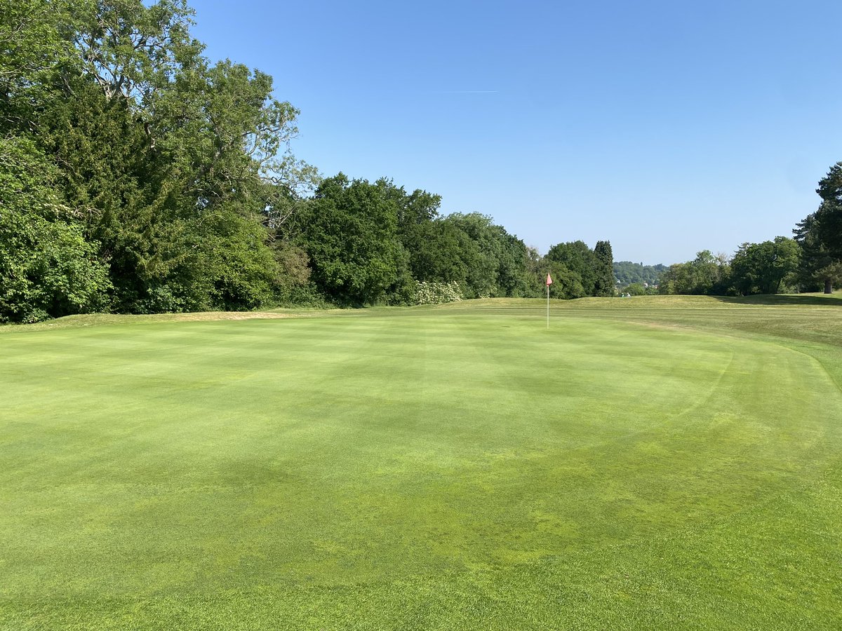Great progress being made bringing the greens back to good health after our irrigation failure a few weeks ago. It’s amazing how resilient grass is and with the right care and attention it can bounce back. 👌🌱