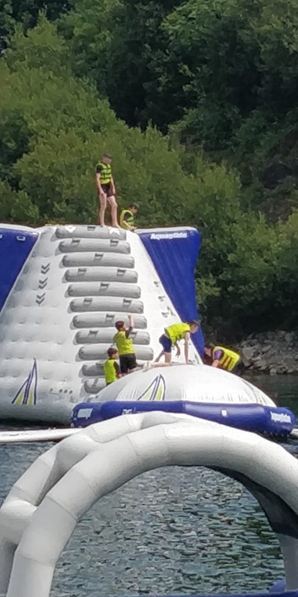 Bulgaden N.S. tweet media