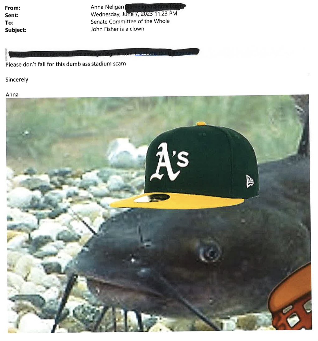 Sorry to everyone out there who spent significant time writing their official statements and public testimony on the Oakland A's stadium bill. Anna here has you beat. #nvleg