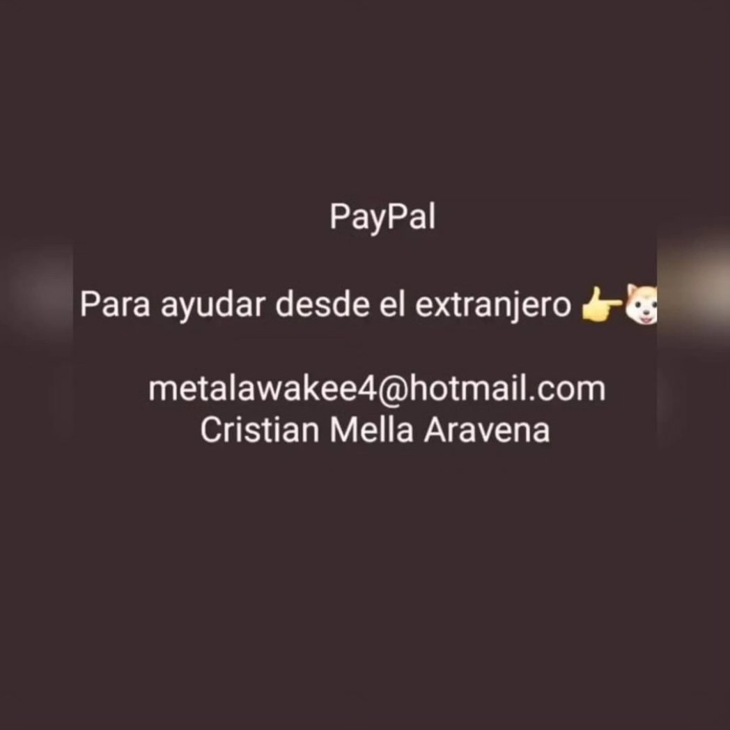 Kristian_Mella's tweet image. SÍ, AHI VOY UNA VEZ MÁS POR OTRO CASA.

Este Gatito esta abandonado hace más de una semana, pensábamos que moriría con este frio, pero resistio, nos espero y hoy somos su unica solución. Esta desnutrido, tiene heridas en la boca y no esta comiendo por el mismo motivo. Si ustedes