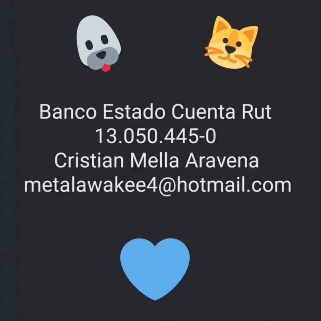 Kristian_Mella's tweet image. SÍ, AHI VOY UNA VEZ MÁS POR OTRO CASA.

Este Gatito esta abandonado hace más de una semana, pensábamos que moriría con este frio, pero resistio, nos espero y hoy somos su unica solución. Esta desnutrido, tiene heridas en la boca y no esta comiendo por el mismo motivo. Si ustedes