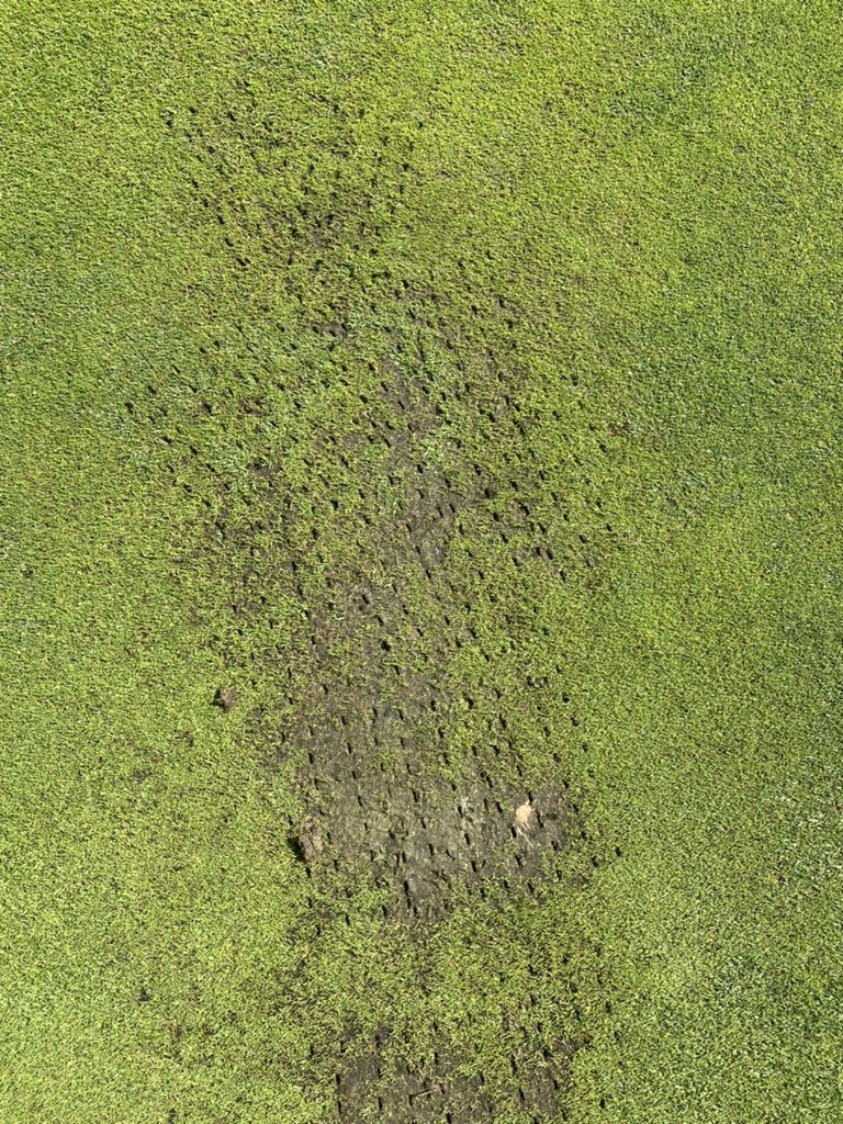 Chipstead Greenkeepers⛳️ tweet media