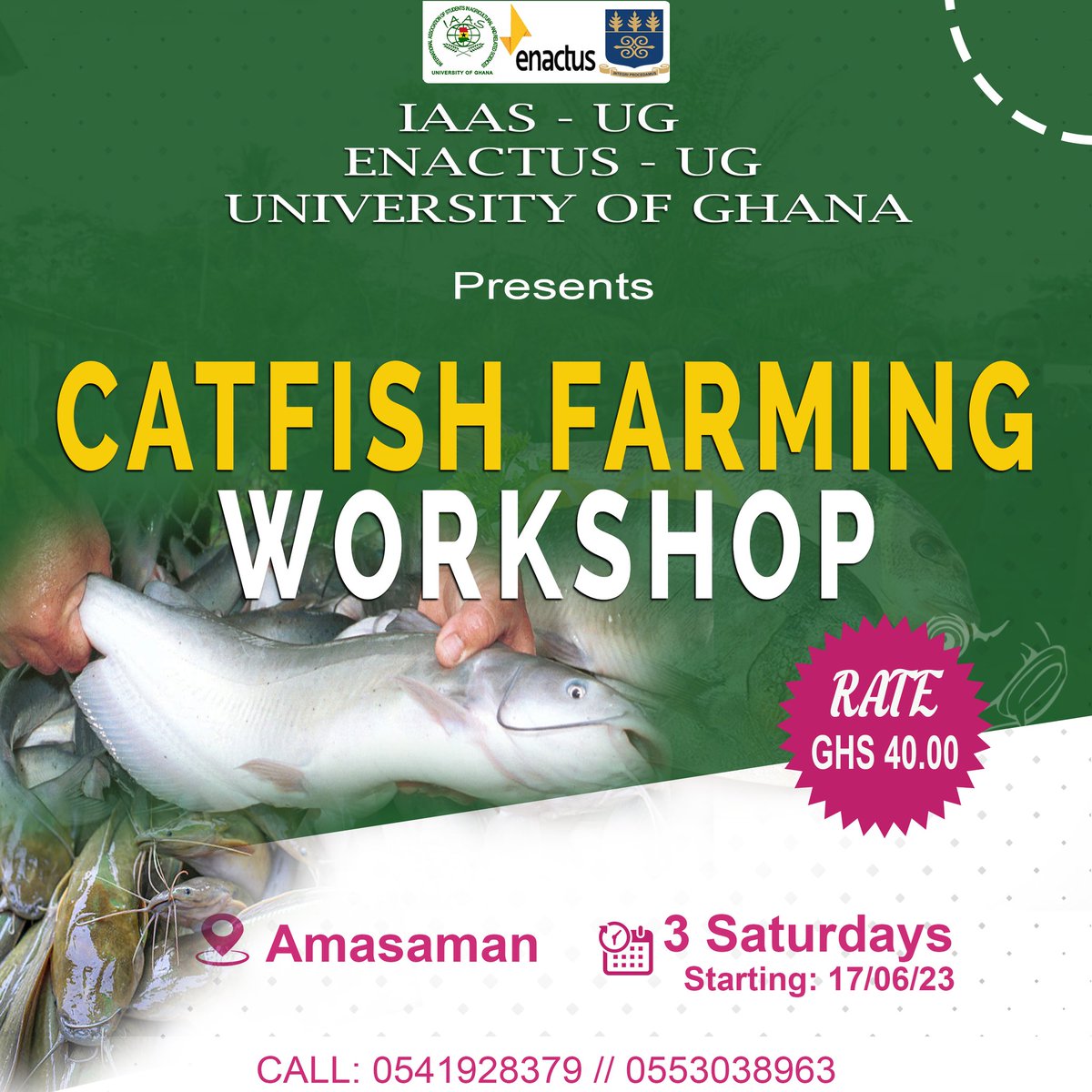 How do we ensure smooth supply of quality fish products in our kitchens without aquaculture amidst the climate change effects on our ocean?

Join us on 3 Saturdays for a training in catfish production.
#catfish 
#catfishfarming 
#aquaculture 
#greenweek 
#greenweek23 
#AGES
