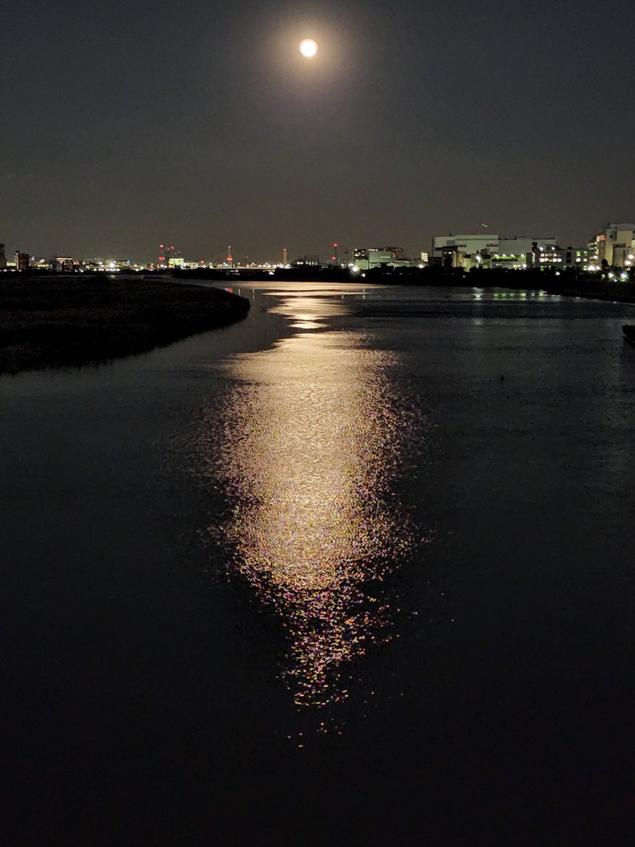 多摩川の夜(2022年冬)
(題名)　月光