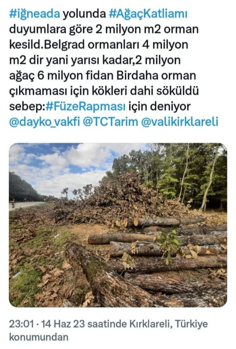 Kırklareli Demirköy ilçesi Istranca dağlarında Orman katliamı,şahit oldum içim sızladı,ABV😡