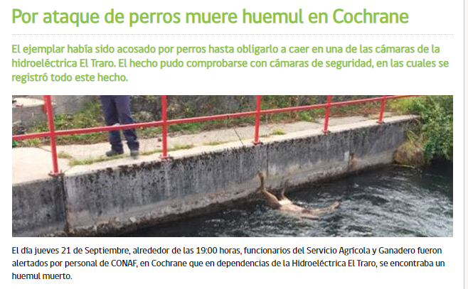 #EcologistaNoAnimalista tweet media