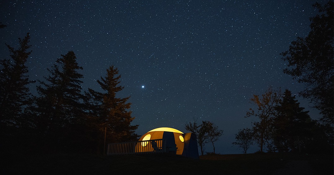 The CAT Ferry tweet media