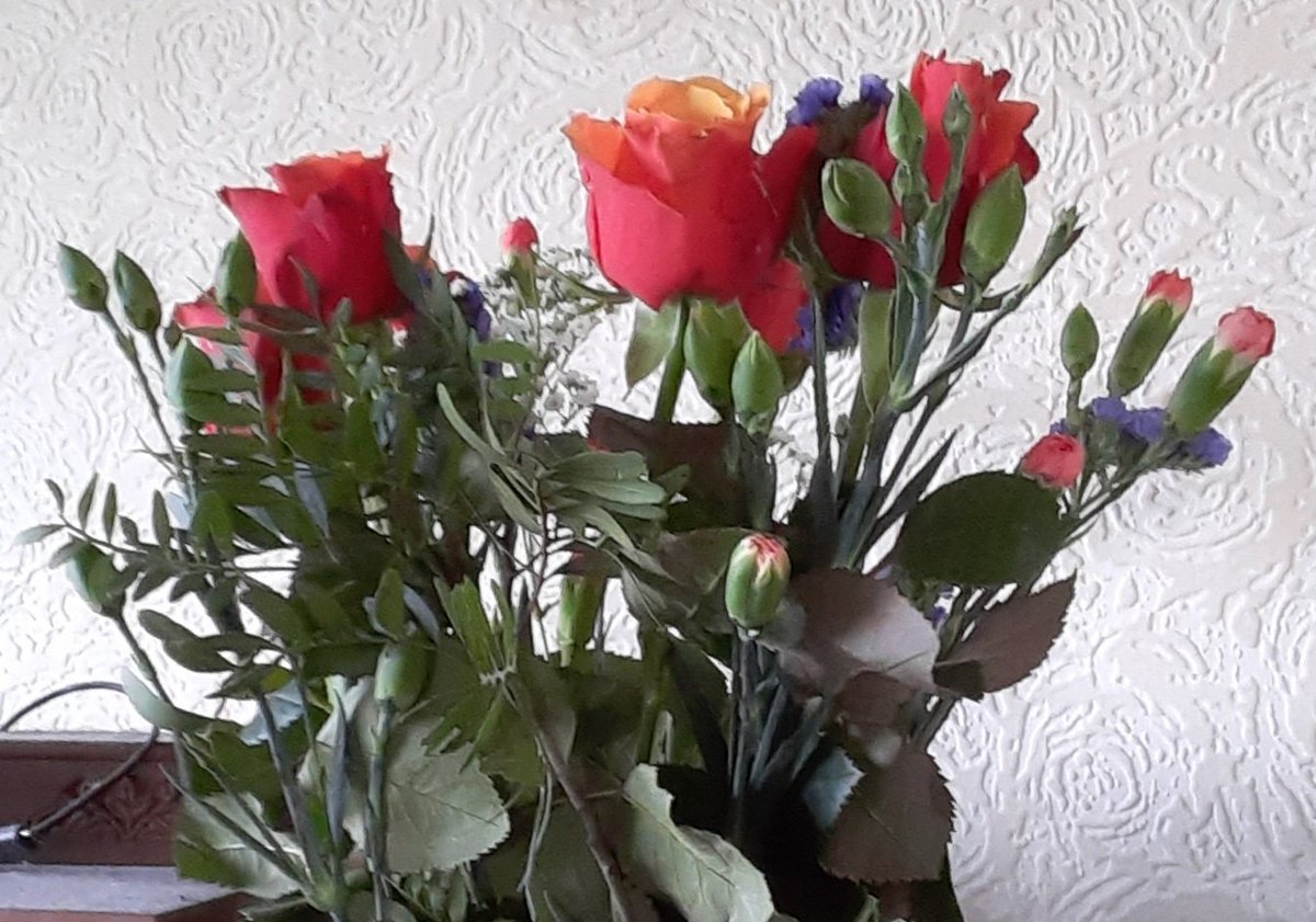 WarphobblerKaz's tweet photo. Weekly flowers for everyone & anyone who wants or needs them, no matter wherever, whatever, or whoever you m may be... enjoy!
#creativephotography #stilllife #WeeklyFlowers #flowers #flowersmatter #FlowersForAll #roses #scarlet #peach #mauve #buds #KazAlexander #SA10.1 https://t.co/7pE1bPBByf