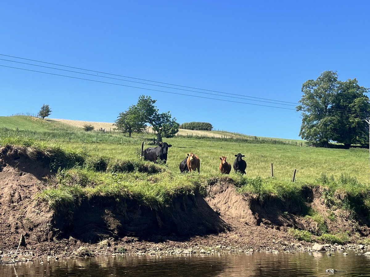 Julia Aglionby 🧡 tweet media