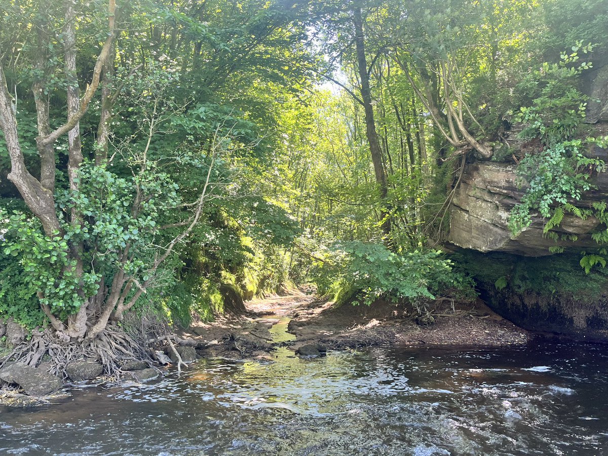 Julia Aglionby 🧡 tweet media