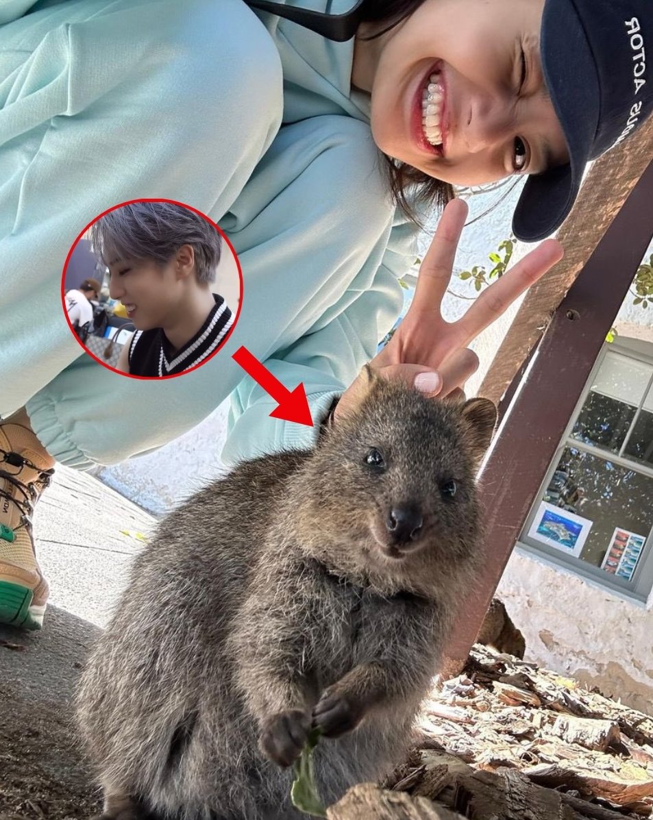 skzpinkfiles's tweet image. we finally got a Lisa and Han selfie 🙏