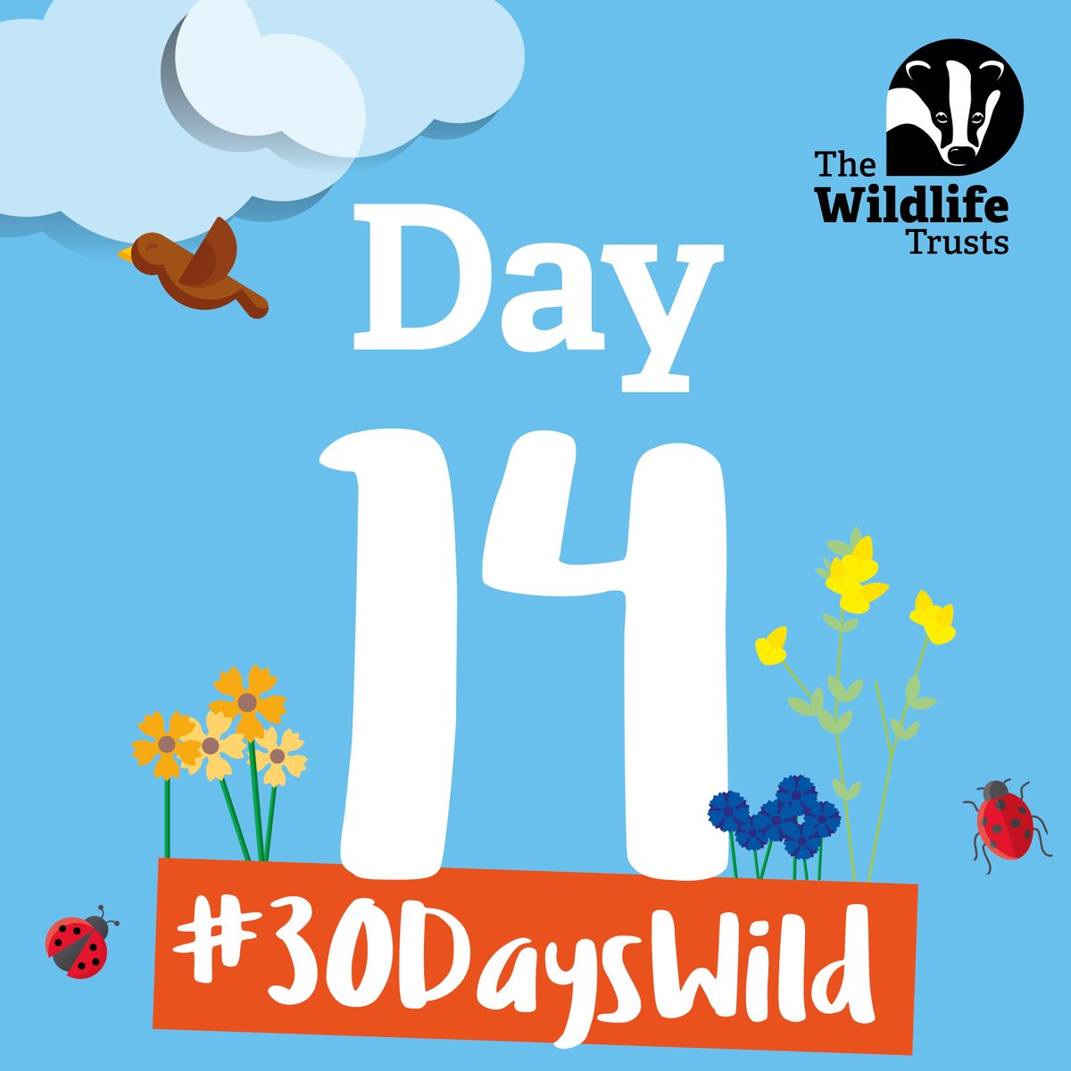 2012eab's tweet photo. Well Day 14 of "30 Days Wild"
Had to take out a old tree, we turned it into a bird table.  Take a look.
#30dayswild #birds #birdtable https://t.co/tWKeZ0zSNs