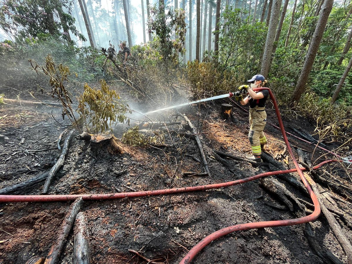 13:56 this afternoon 41P4 mobilised to Awbridge near Romsey as part of the relief strategy for a large fire in woodland, together with many other crews.  Remote location, lots of hose, great teamwork across the board. 🚒🚒