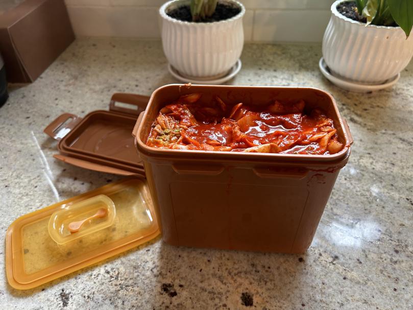 SeizingBeans's tweet image. Lactobacillus is a time-honored comrade in preserving your food. Today I enlisted its help in making some kimchi!