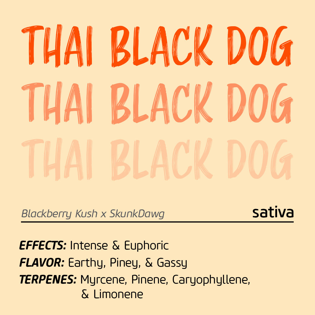 MÜV Dispensary tweet media