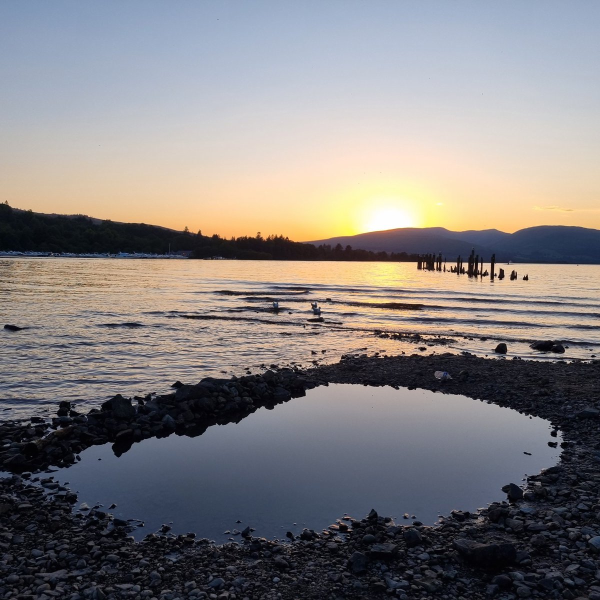 Heike John Ba tweet media