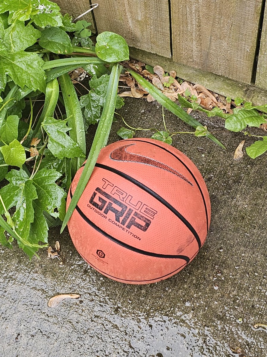 _Grip's tweet image. I usually throw all the neighbor kid's balls back over the fence when they make it into my backyard....but this one speaks to me. This one I think I'll keep. Just something about it....