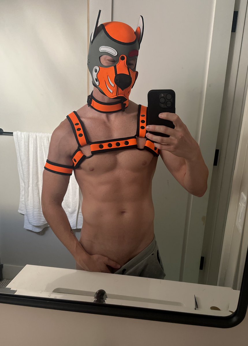 SubPup Kylo tweet media